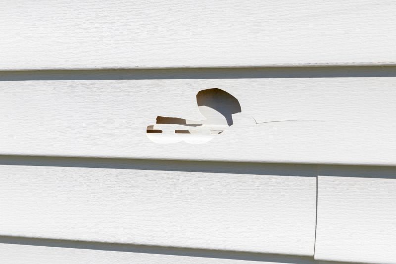Applying Patches to Vinyl Siding